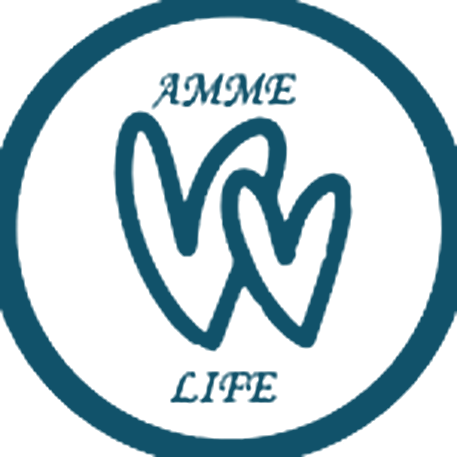 Amme Life